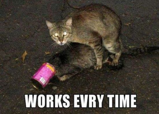 works evry time